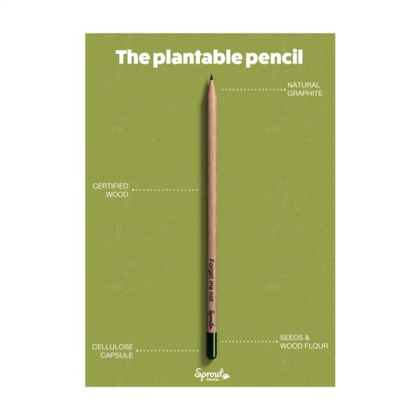 Sproutworld Sharpened Pencil Bleistifte angespitzt – Bild 5