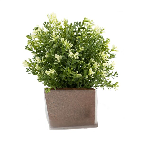 Green Seed Bags Blumensamen – Bild 2